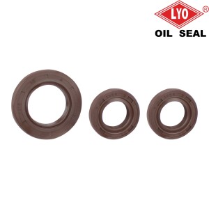 Zestaw uszczelek Pionýr 20, 21, 23 - Viton (3 szt.)